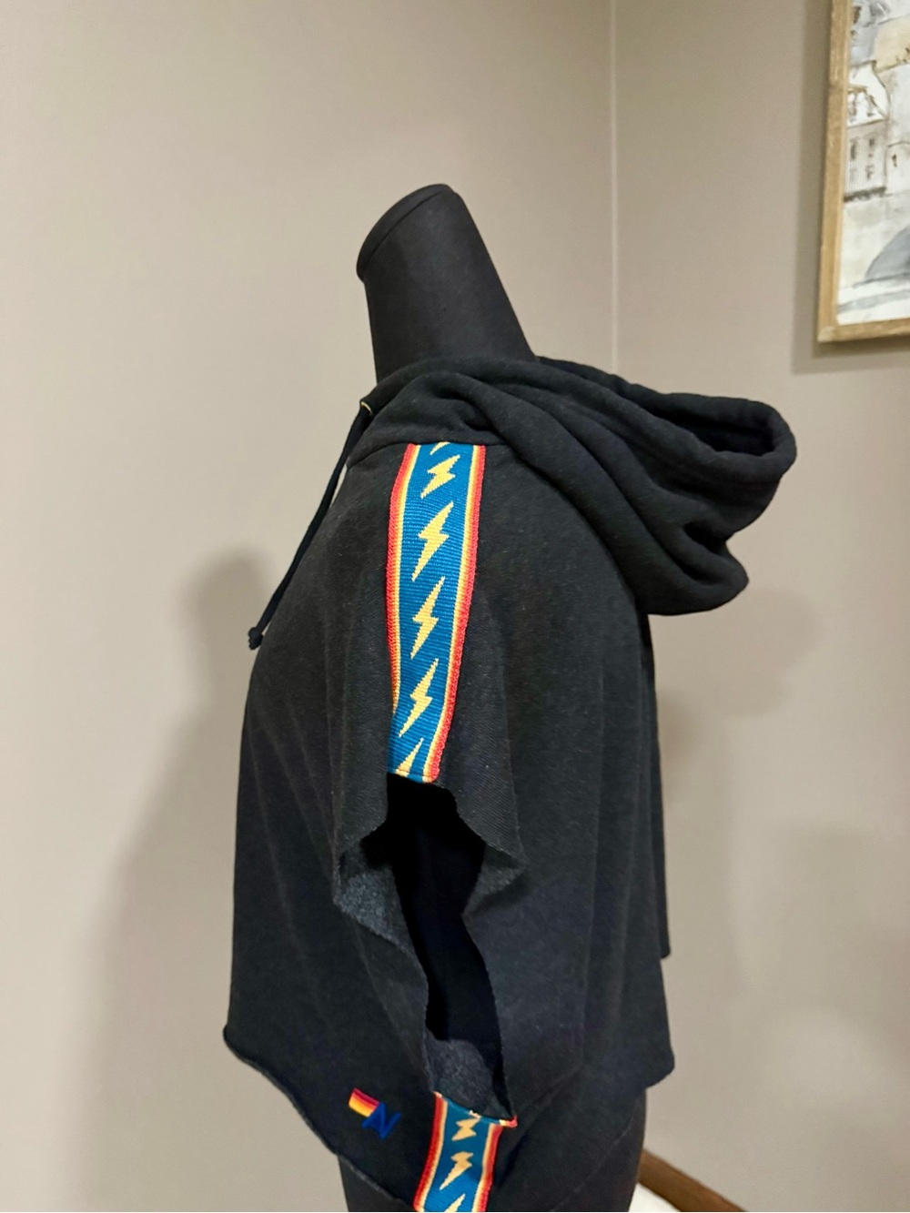 Aviator Nation Black Hoodie with Rainbow Stripe Accents - Picture 3 of 4